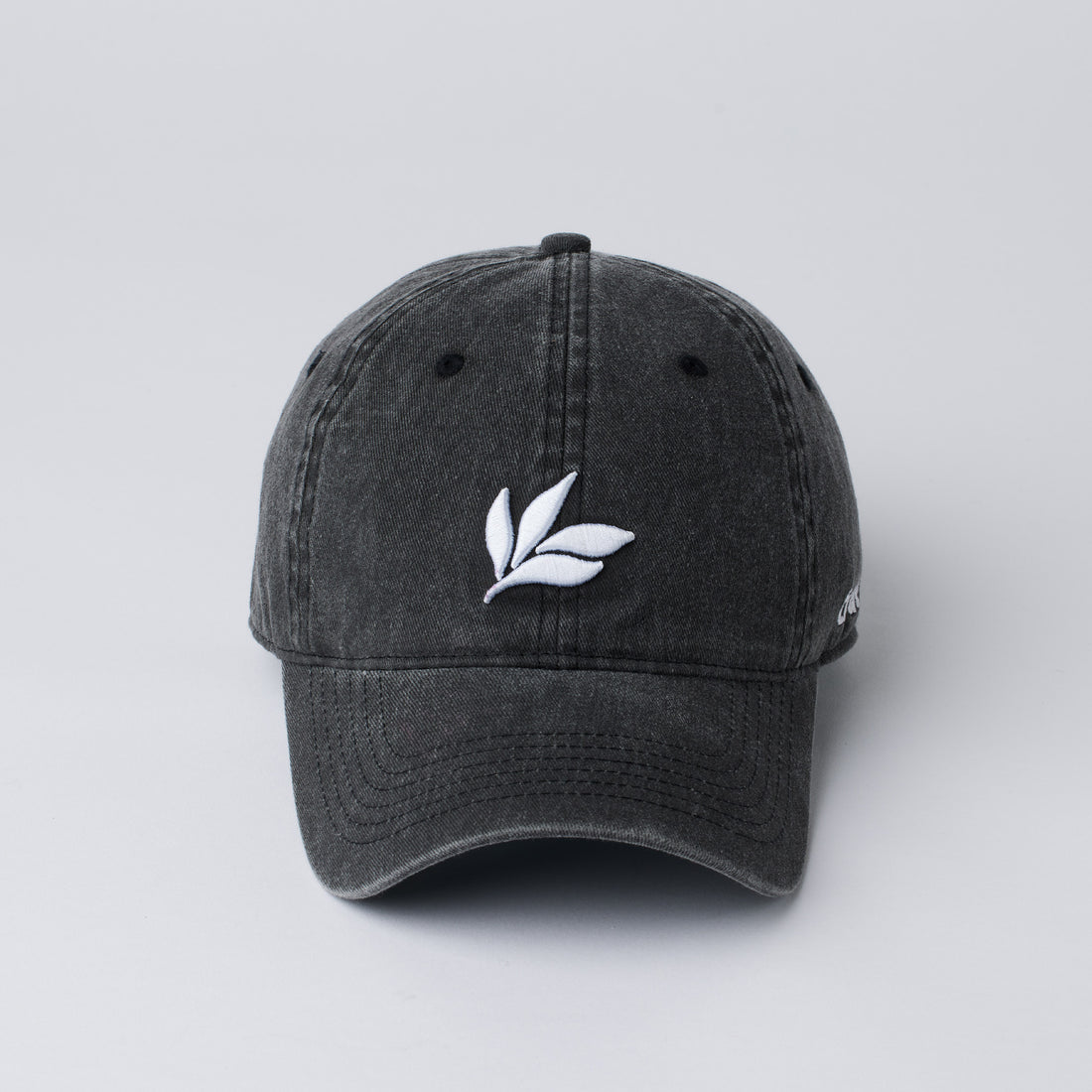 Relaxed Cap Charcoal